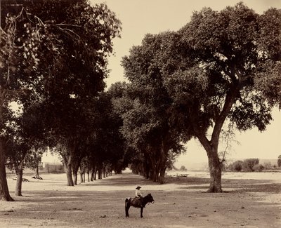  de William Henry Jackson