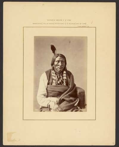 [Carga en el Hauk - (Brulé Dakota)] de William Henry Jackson