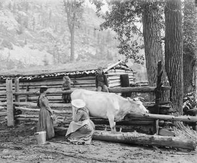 Lecheras de montaña en Colorado, c.1900 (foto en blanco y negro) de William Henry Jackson