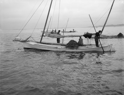 Dredging de ostras, c.1890-1910 de William Henry Jackson