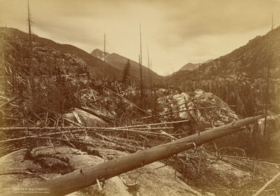  de William Henry Jackson