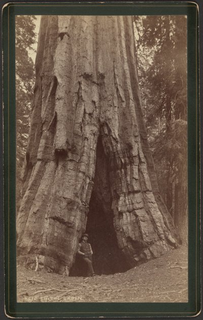 Cabaña Smiths de William Henry Jackson