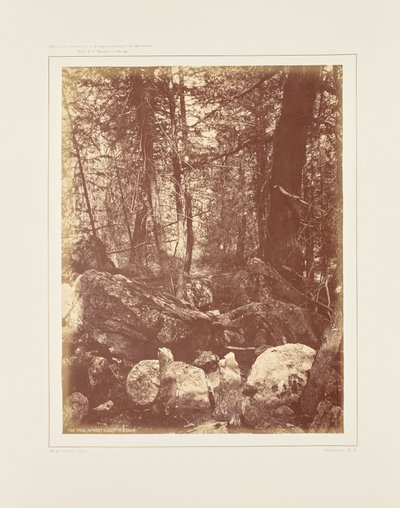 El sendero en el bosque, Cañón Gallatin de William Henry Jackson