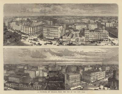 Un panorama de Chicago, desde la cima del Ayuntamiento de William Henry James Boot