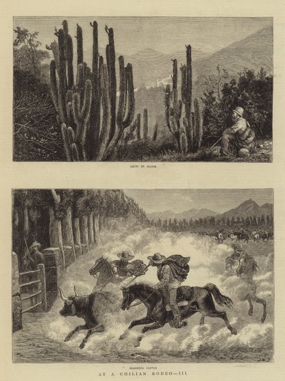 En un rodeo chileno, III de William Henry James Boot