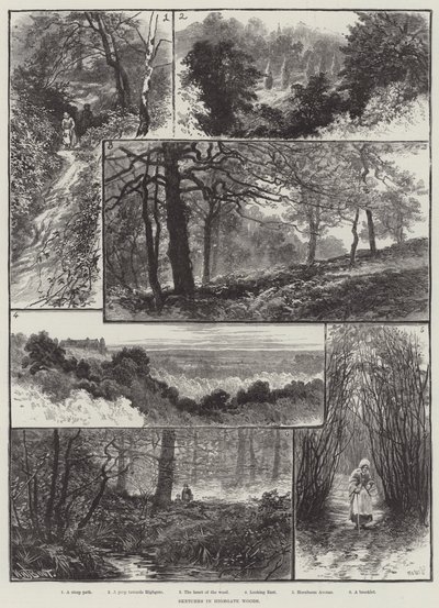 Bocetos en los bosques de Highgate de William Henry James Boot