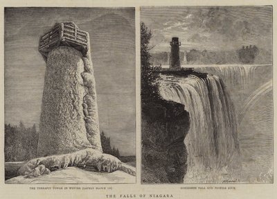 Las Cataratas del Niágara de William Henry James Boot