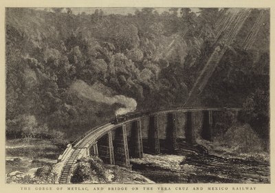 La garganta de Metlac y el puente en el ferrocarril de Vera Cruz y México de William Henry James Boot