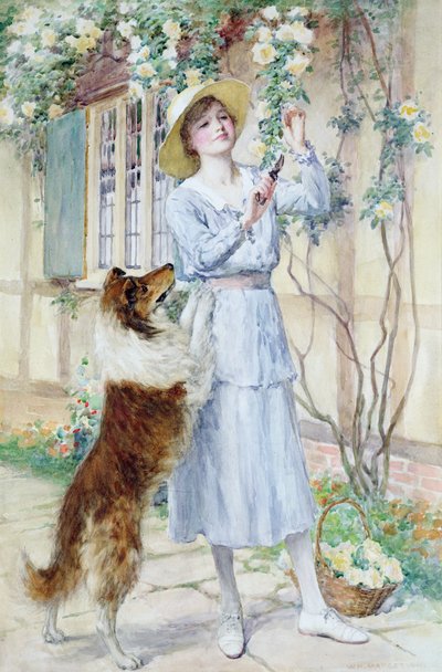 Recogiendo rosas (acuarela sobre papel) de William Henry Margetson