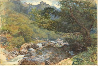 En el East Lyn, North Devon de William Henry Millais