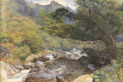 En el Lyn, North Devon de William Henry Millais
