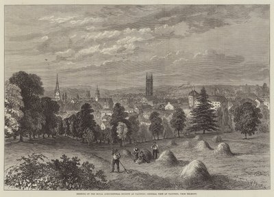 Reunión de la Sociedad Real de Agricultura en Taunton, Vista General de Taunton desde Belmont de William Henry Pike