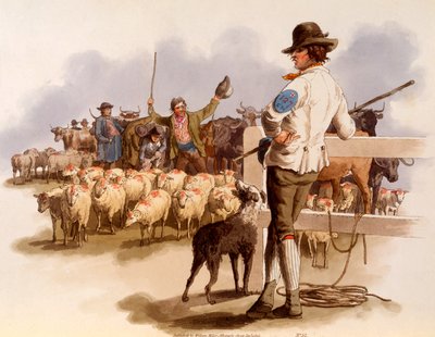Drover de Smithfield, de 