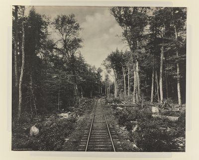 Rama del lago Ganoga, L.V.R.R., c.1899 de William Herman Rau