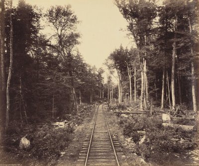 Ganoga Lake Branch,c. 1895 (foto) de William Herman Rau