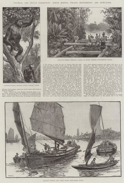 Exposición Colonial e India, Borneo del Norte, Establecimientos del Estrecho y Hong-Kong de William Heysham Overend