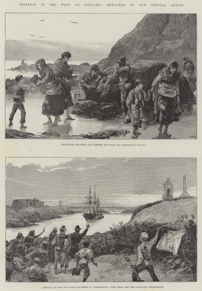 Angustia en el oeste de Irlanda de William Heysham Overend