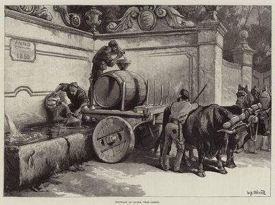 Fuente en Cintra, cerca de Lisboa de William Heysham Overend