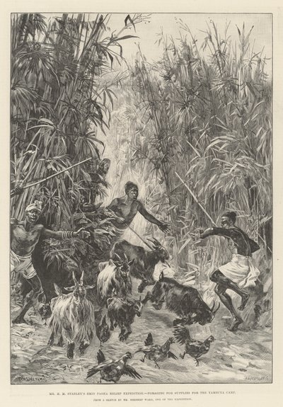 La expedición de socorro de Emin Pasha del Sr. H M Stanley, buscando suministros para el campamento de Yambuya de William Heysham Overend