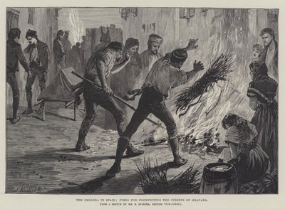 El Cólera en España, Fuegos para desinfectar las Calles de Granada de William Heysham Overend
