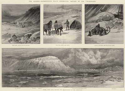 La Expedición Polar Jackson-Harmsworth, Retorno del Windward de William Heysham Overend