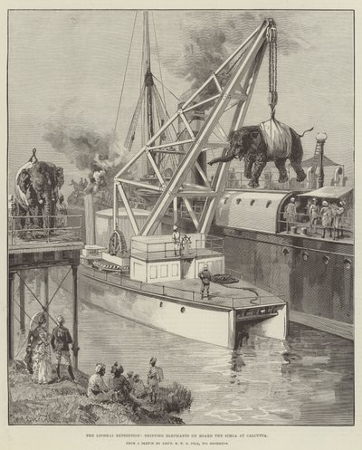 La expedición Looshai, embarcando elefantes a bordo del Simla en Calcuta de William Heysham Overend