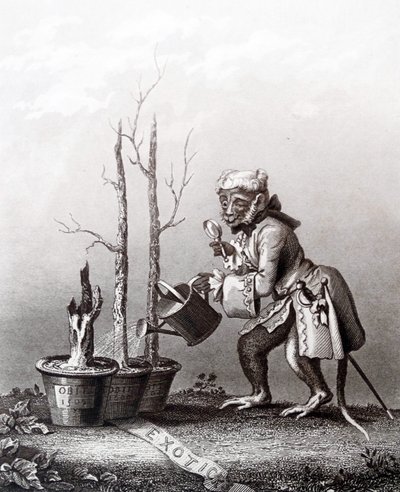 Pieza de cola del catálogo de artistas de William Hogarth