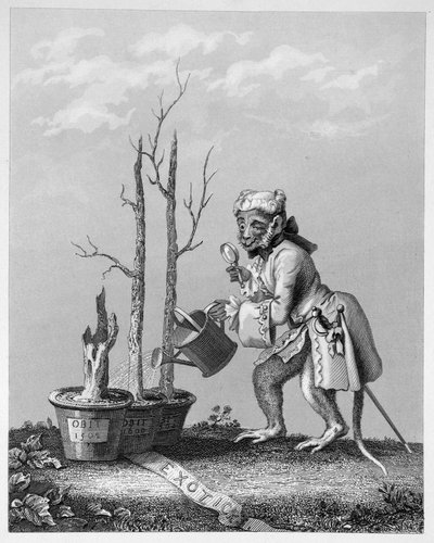 Cola, pieza para el catálogo de artistas, 1761 de William Hogarth