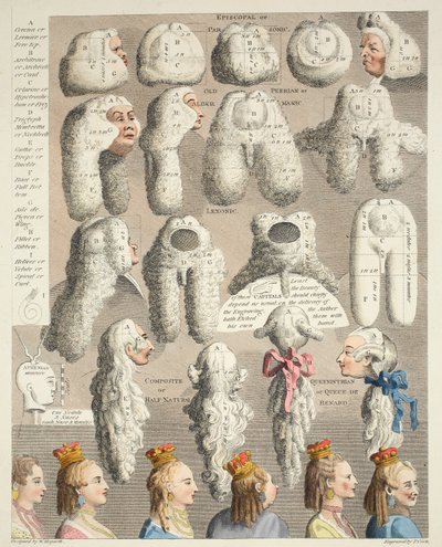 Las cinco órdenes de pelucas, ilustración de 