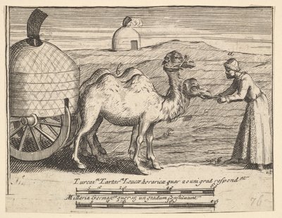 Dos Dromedarios Aubry de La Mottrayes Viajes por Europa, Asia y en Parte de William Hogarth