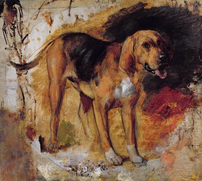 Estudio de un sabueso de William Holman Hunt
