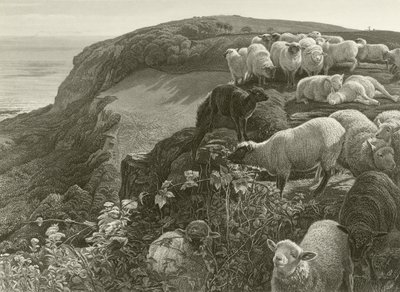 En la ladera (grabado) de William Holman Hunt