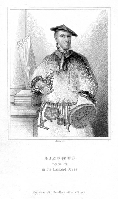 Carolus Linnaeus, naturalista sueco de William Home Lizars