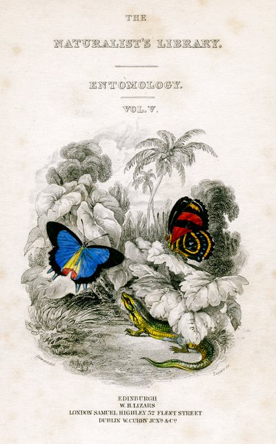 La Biblioteca de los Naturalistas, Entomología, Vol V, Mariposas, c1833-1865 de William Home Lizars