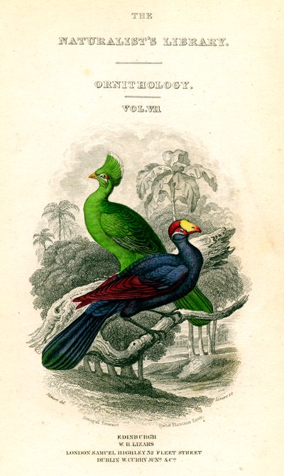 La Biblioteca de los Naturalistas, Ornitología, Touraco de Senegal, Comedor de Plátano Violeta de William Home Lizars