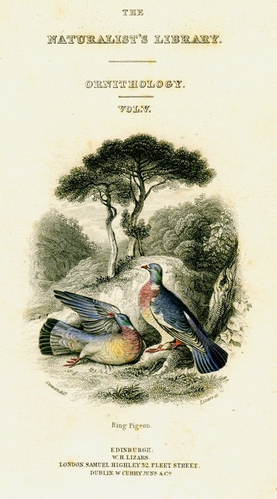 La biblioteca de los naturalistas, Ornitología Vol V, Paloma de anillo, c1833-1865 de William Home Lizars