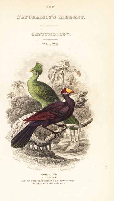 Portada con viñeta del turaco de Guinea, Tauraco persa buffoni, y turaco violeta, Musophaga violacea de William Home Lizars