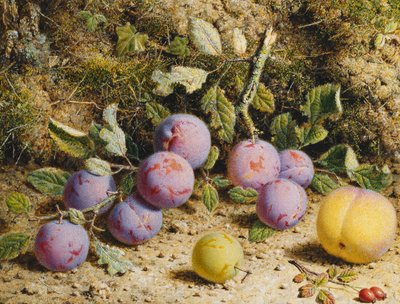 Naturaleza muerta con ciruelas, un melocotón y escaramujos de William Hough
