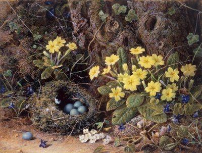 Naturaleza Muerta con un Nido de Pájaros, Primaveras y Violetas de William Hough