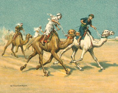 Carreras Históricas y Modernas, Carreras de Camellos de William Hounsom Byles