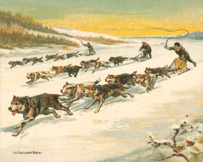 Carreras históricas y modernas, carreras de trineos tirados por perros canadienses de William Hounsom Byles