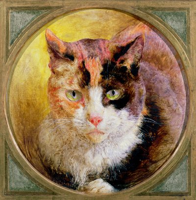 Estudio de Cabeza de un Gato Carey, 1866 de William Huggins