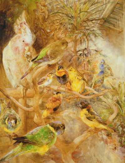 Aviario de aves, 1871 de William Huggins