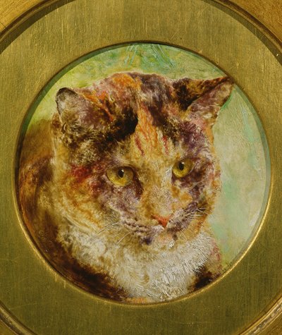 Estudio de un Gato Carey de William Huggins