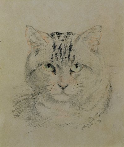 Gato atigrado, 1874 de William Huggins