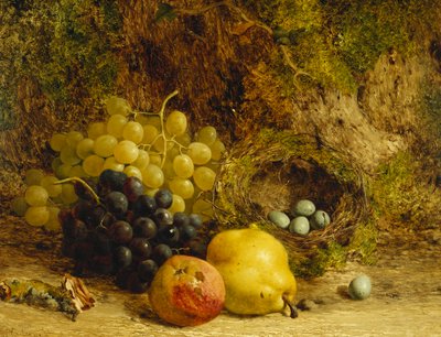 Uvas, una Manzana, una Pera y un Nido de Pájaros en un Banco Musgoso, 1865 de William Hughes