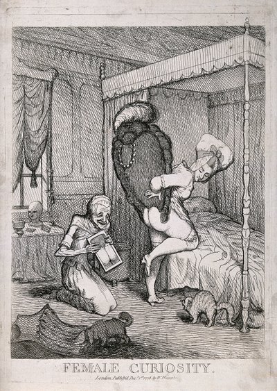 Curiosidad femenina de William Humphrey