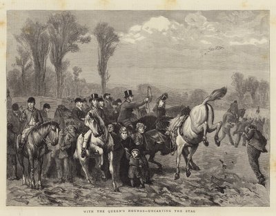 Con los Sabuesos de la Reina, Descargando el Ciervo de William III Bromley