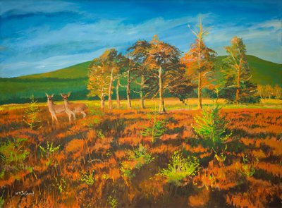 nr. Aviemore, Escocia (óleo sobre tabla) de William Ireland
