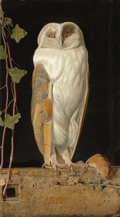 El búho blanco, 1856 de William J. Webbe